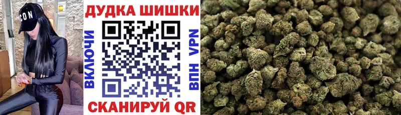 хочу   Лосино-Петровский  Марихуана конопля 